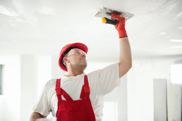 Queen City, TX Mold Removal Company